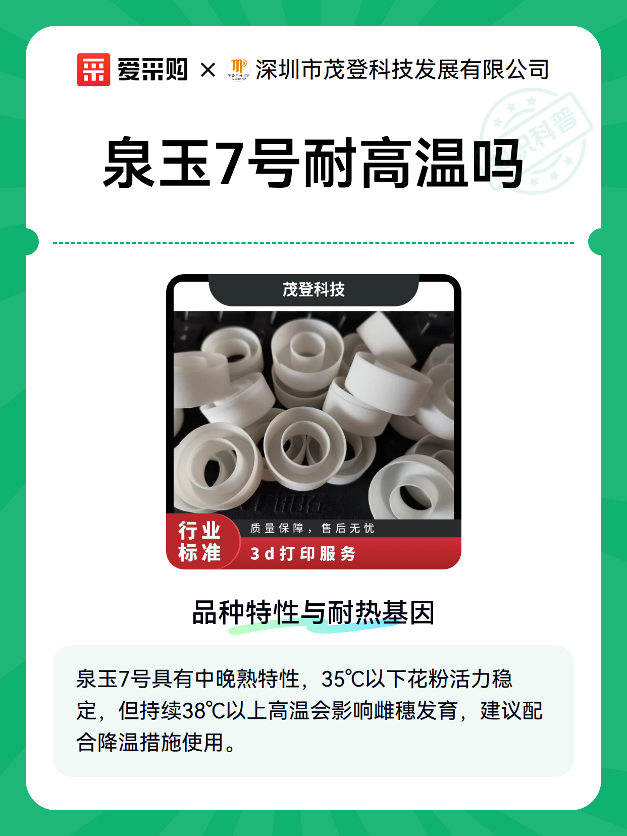 泉玉7号耐高温吗（图2）