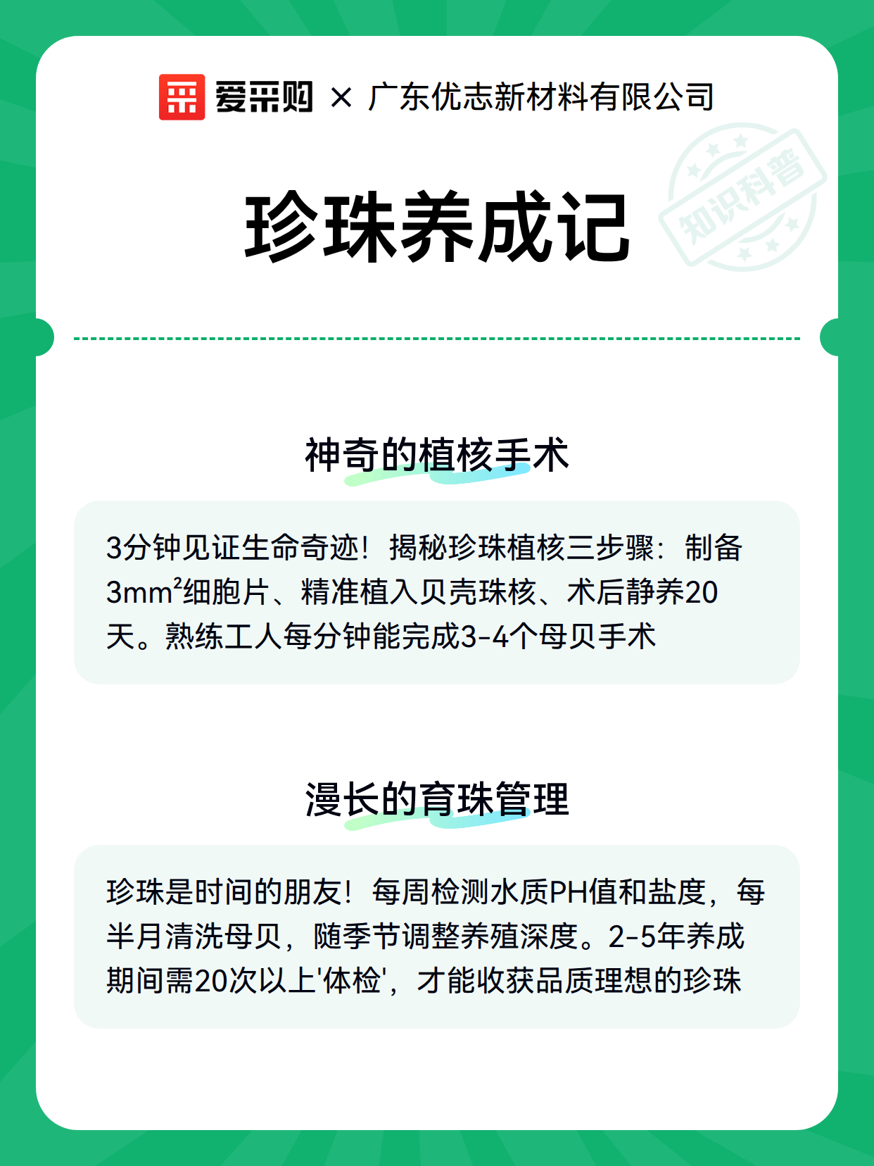 珍珠养成记（图2）