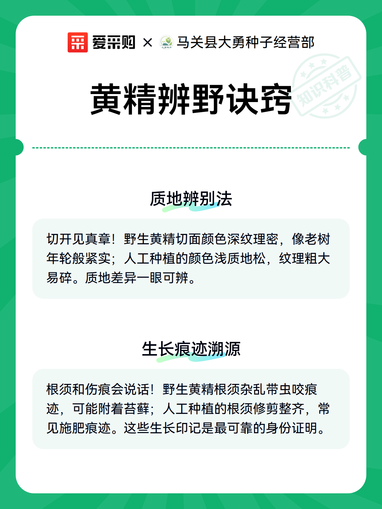 黄精辨野诀窍（图2）