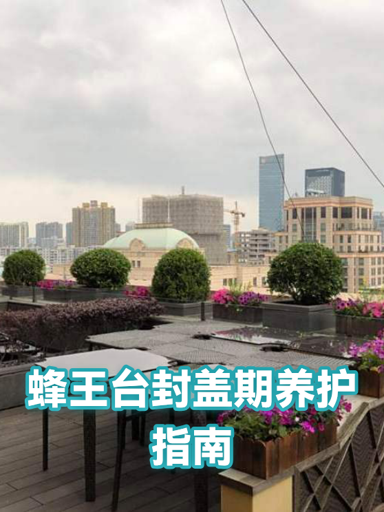 蜂王台封盖期养护指南（图1）