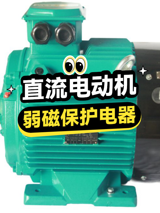 直流电动机弱磁保护电器（图1）