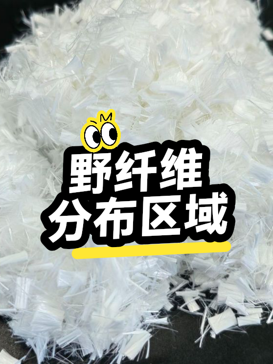 野纤维的分布区域（图1）
