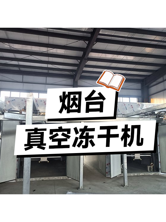 烟台真空冻干机（图1）