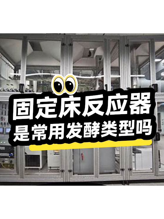 固定床反应器是常用发酵类型吗（图1）